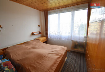Prodej bytu 3+1,DR, 65 m², České Budějovice, Pod Lékárnou - 10