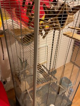 Velká vybavená klec pro osmáky degu - 10