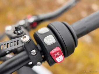 BMW S 1000 R Pack Dynamic DDC Akrapovič - 10