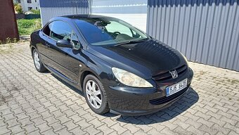 PEUGEOT 307CC 2,0i LPG - 10