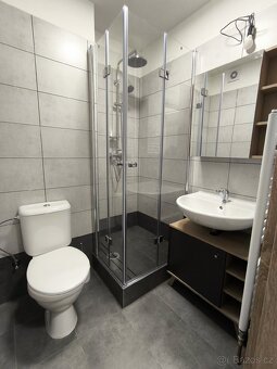 Pronájem bytu 1+1, 30 m² – Plzeň, Doubravka - 10