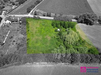 Prodej stavebního pozemku, 7 284 m², Diváky, ev.č. 00112 - 10