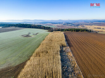 Prodej pole, 24512 m², Horšovský Týn - 10