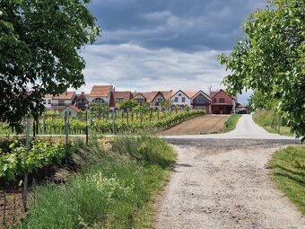 Zahrada u Kyjova 675m² - 10