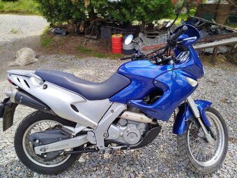 Aprilia Pegaso 650 - 10