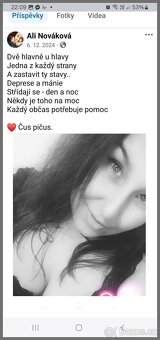 kočka ČB - 10