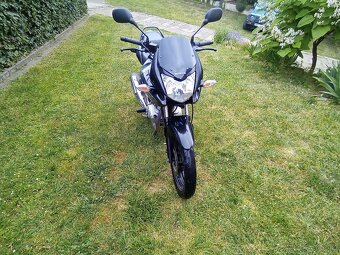 Honda CBF 125 - 10