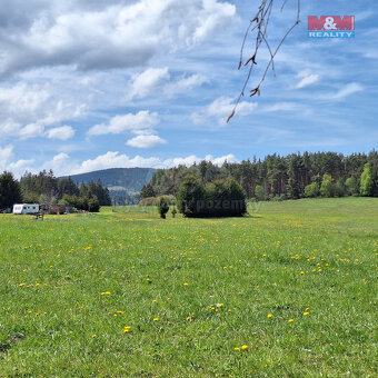 Prodej louky, 5 959 m², Zdíkov - 10