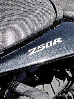 Kawasaki Ninja 250 R - 10