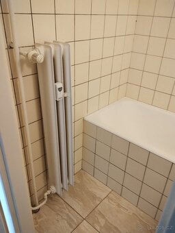 Pronájem bytu 2+kk s balkónem - 10