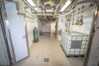 Starý Ples, prodej jatek 584 m2 s rodinným domem 287 m2 na p - 10