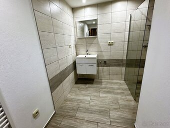 Prodej rodinného domu 234 m², pozemek 2009 m² Šanov - 10