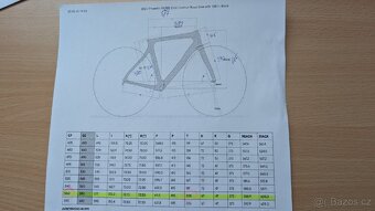 Pinarello Paris - 10