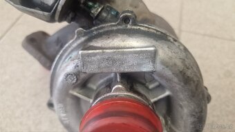 Turba na repas, různé druhy - 10