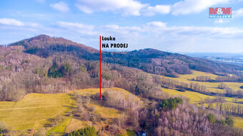 Prodej louky, 3251 m², Radeč u Horní Police, Žandov - 10