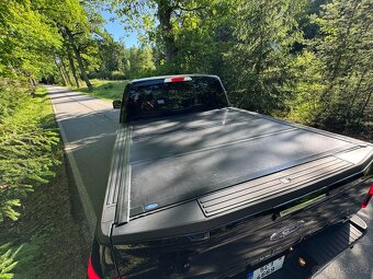 Ford F150 3.5 Ecoboost DPH - 10