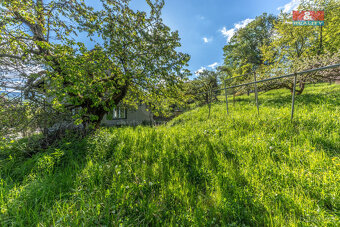 Prodej rodinný dům 2+1, 120 m2, Dolní Rokytnice - 10