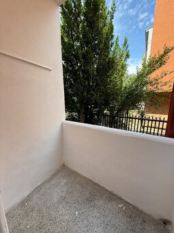 Dlouhodobý pronájem prostorného 1+1, 65 m2, zahrádka, cihla - 10