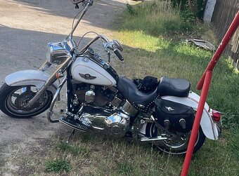 Harley Davidson Fat Boy Anniversary - 10