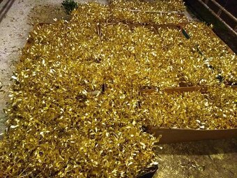 Prodej jmelí 2025🌿 - 10