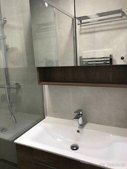 Prodej bytu 2+1 po kompletní rekonstrukci - Praha 10 - 10