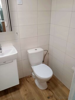 Pronájem 1+1 Štítného, České Budějovice - 10