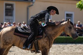 Připouštění QH hřebcem 7 panel N/N - 10