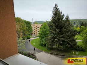 Brno - Řečkovice, OV 2+1, 64 m2, balkon, sklep – byt - 10