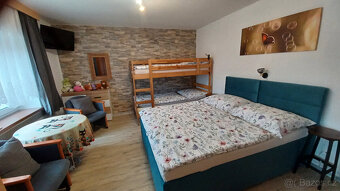 Prodám rodinný dům (penzion) - 10