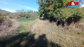 Prodej louky, 13227 m², Jenčice - 10