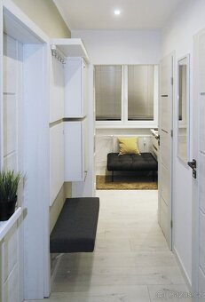 Pronájem vybaveného bytu, po celkové rekonstrukci, 1+1, 40m2 - 10