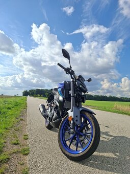 Yamaha MT 125 - 10