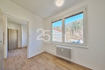Prodej bytu o dispozici 3+1 s lodžií po kompletní rekonstruk - 10