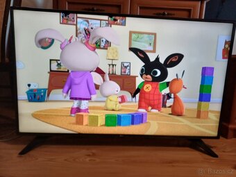 Smart TV LG 49LH6047-uhlopříčka 123cm,wifi, dvbt2 - 10