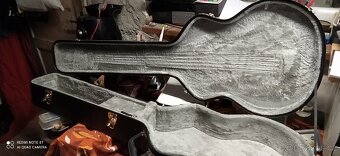 Elektroakustická baskytara - 10