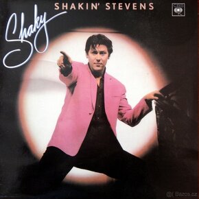 LP Beatles, Tina Turner, Boney M, Wings a j. - 10