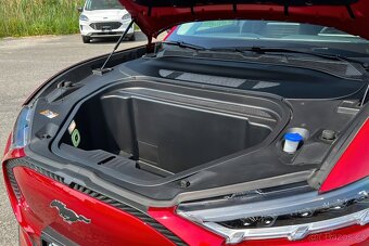 Ford Mustang Mach-E 2021 - 10