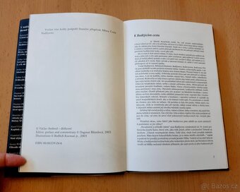 AMBROŽOVY BUDĚJOVICKÉ POVĚSTI A POVÍDKY - 10