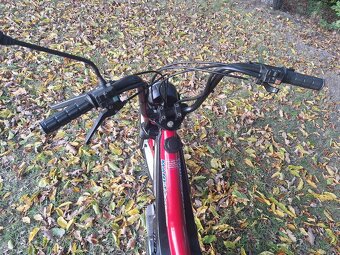 Manet korado v pěkném stavu - 10