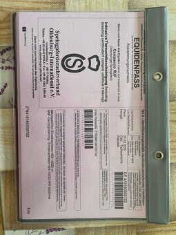 mladý valach po Corlensky Ruf - 10