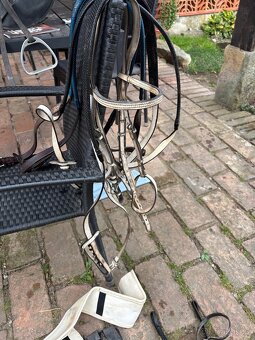 Velký dostihový set - 10