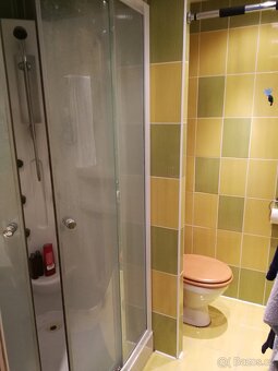 Pronájem bytu 1+1 - 10