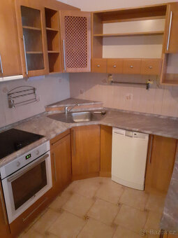 Pronájem bytu 2,5+kk - 10