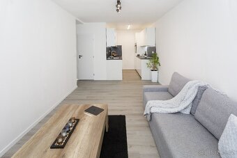 Prodej bytu 2+kk, 45 m², po kompletní rekonstrukci, Praha 13 - 10