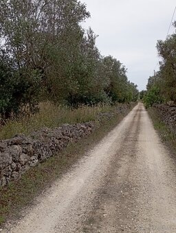 Prodám zahradu 4400 m² nedaleko pobřeží v jižní Itálii - 10