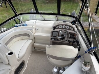 STINGRAY 250CS + príves - 10