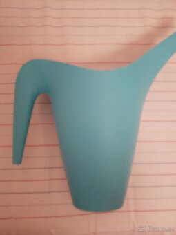 sazenice netřesků 5kč za kus,držáky na truhlíky,ačokča semen - 10