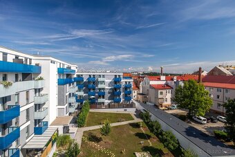 Pronájem bytu 2+kk, 45 m2 - Plzeň - Jižní Předměstí - 10