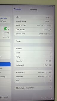 Ipad Pro 9.7 256GB - 10