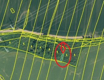 Prodej lesních pozemků v k.ú. Kočín - 10